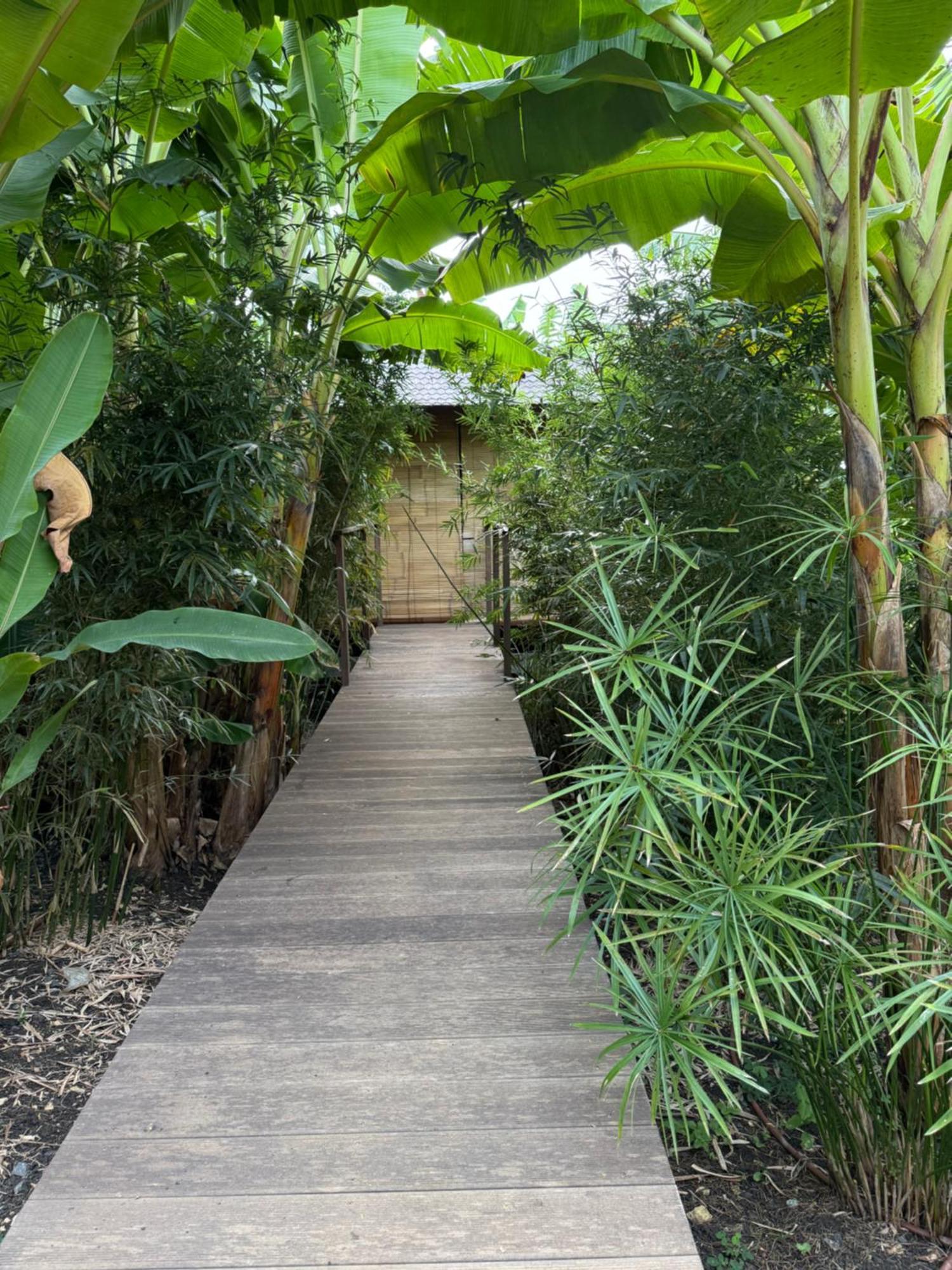 Anacardier Lodge Saint-Francois (Grande-Terre)